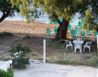 Papidakis Studios