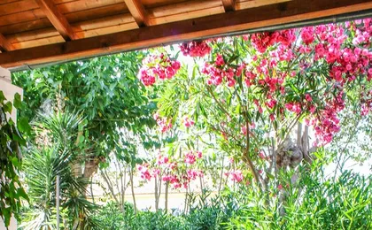 Nireas Studios & Apartments