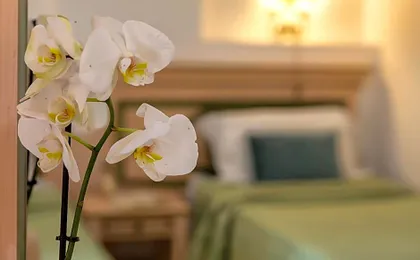 Hotel Fertilia