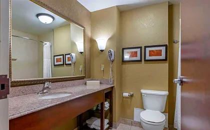 Comfort Suites Grand Rapids South