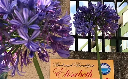 Bed & Breakfast Elisabeth
