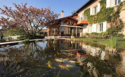 Logis Hotel Des Grands Vins