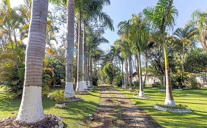 Piscina, jardim, área gourmet e vista arborizada