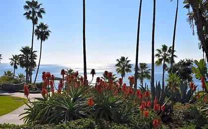 Laguna Shores Studio Suites