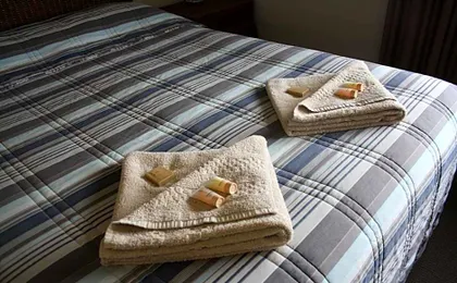 Isis Motel Scone