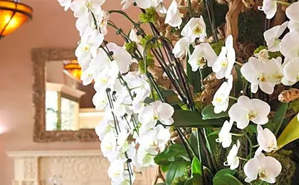Hotel Carmel