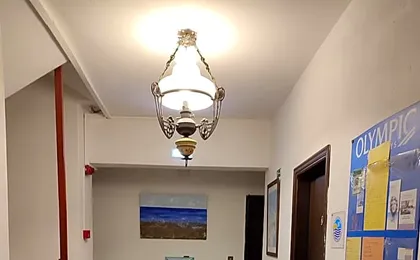 Dolphin Apartments