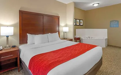 Comfort Inn & Suites Canton Riverstone Area