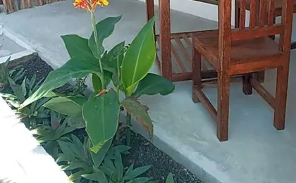 Amani Hotel Paje