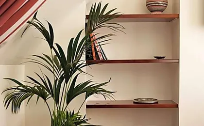 Hôtel Wallace Paris, Orso Hotels, a Member of Design Hotels