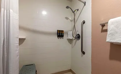 Best Western Plus Fort Worth North