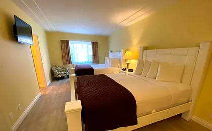 Hollywood Celebrity Hotel