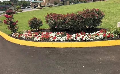 Lotus Inn and Suites Nashville