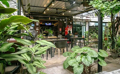 Gord Chiangmai