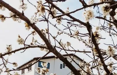 Casa Peidaigo immersa nel verde,vista mare e monti