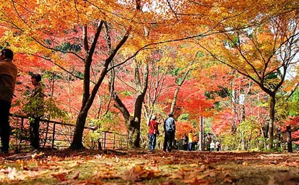 Yasashisanoyado Chikutei
