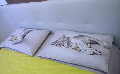 Rosa House