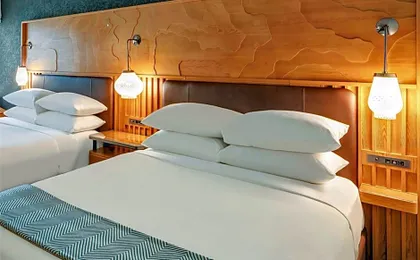The Wildbirch Hotel - JdV by Hyatt