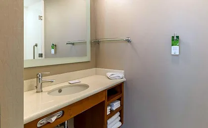 SpringHill Suites by Marriott Houston Rosenberg
