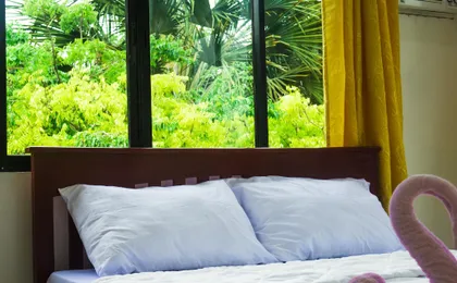Luna Oslob Travellers Inn