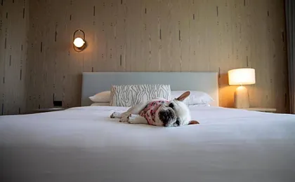Kimpton Hotel Palomar South Beach By IHG