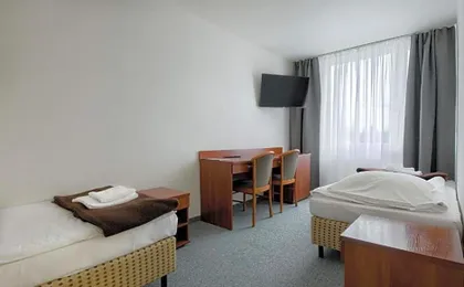 Płonia Economy