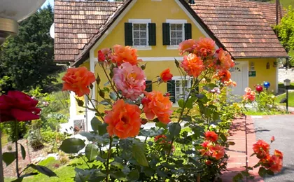 Buchschneider - Ferienhaus Maier - Landhof