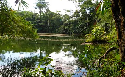 Rainforest Eco Lodge