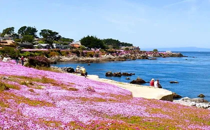 Monterey Peninsula Inn