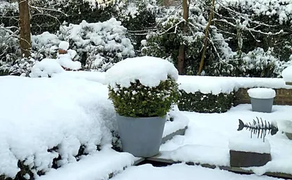 B&B Speelmansrei