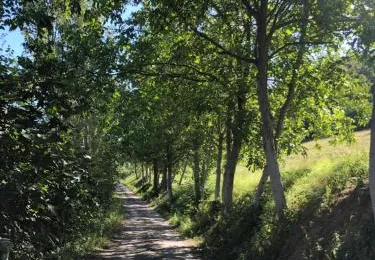 Casa Relax nel Verde sulle Colline Parmensi