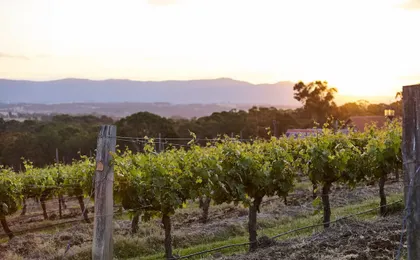 Wandin Valley Estate