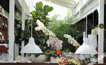 Peking Yard Boutique Hotel
