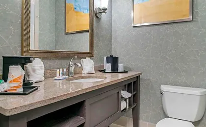 Comfort Inn Plainwell