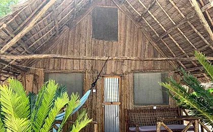 New Jambo Bungalows