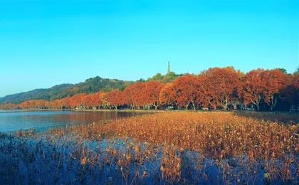 Four Points By Sheraton Hangzhou