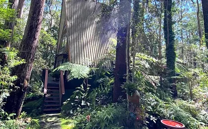 Springbrook Mountain Chalets