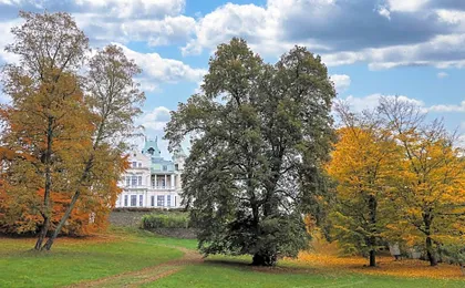Hotel Villa Golf Cihelny