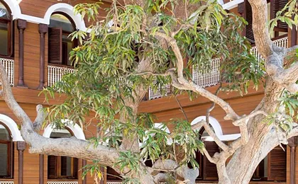 Park Hyatt Zanzibar