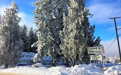 Pines Motel