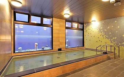 CHISUN PREMIUM Kyoto Kujo
