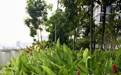 South Bank Mid Valley