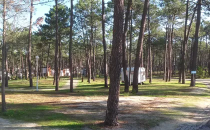 Orbitur Vagueira