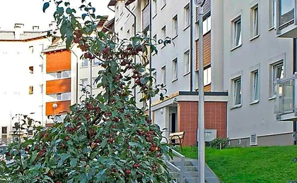 IRS MORENOWE WZGÓRZA