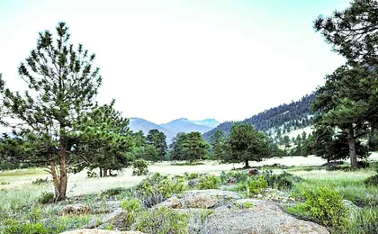 The Historic Crags Lodge