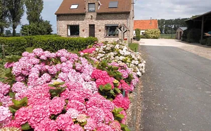 B&B Het Polderhof