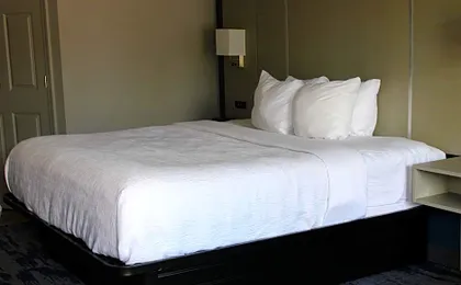 Quality Inn Scottsboro US/72-Lake Guntersville Area