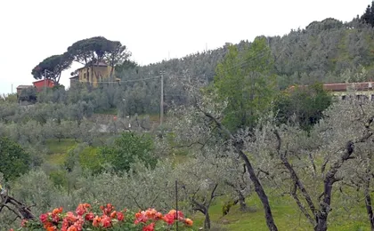Antica Bottega di Vinci