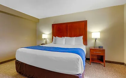 Comfort Suites Fredericksburg South
