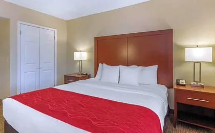Comfort Inn St Petersburg North
